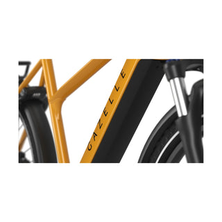 Gazelle Medeo T10 Orange
