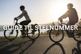 Guide til stelnummer på cykel