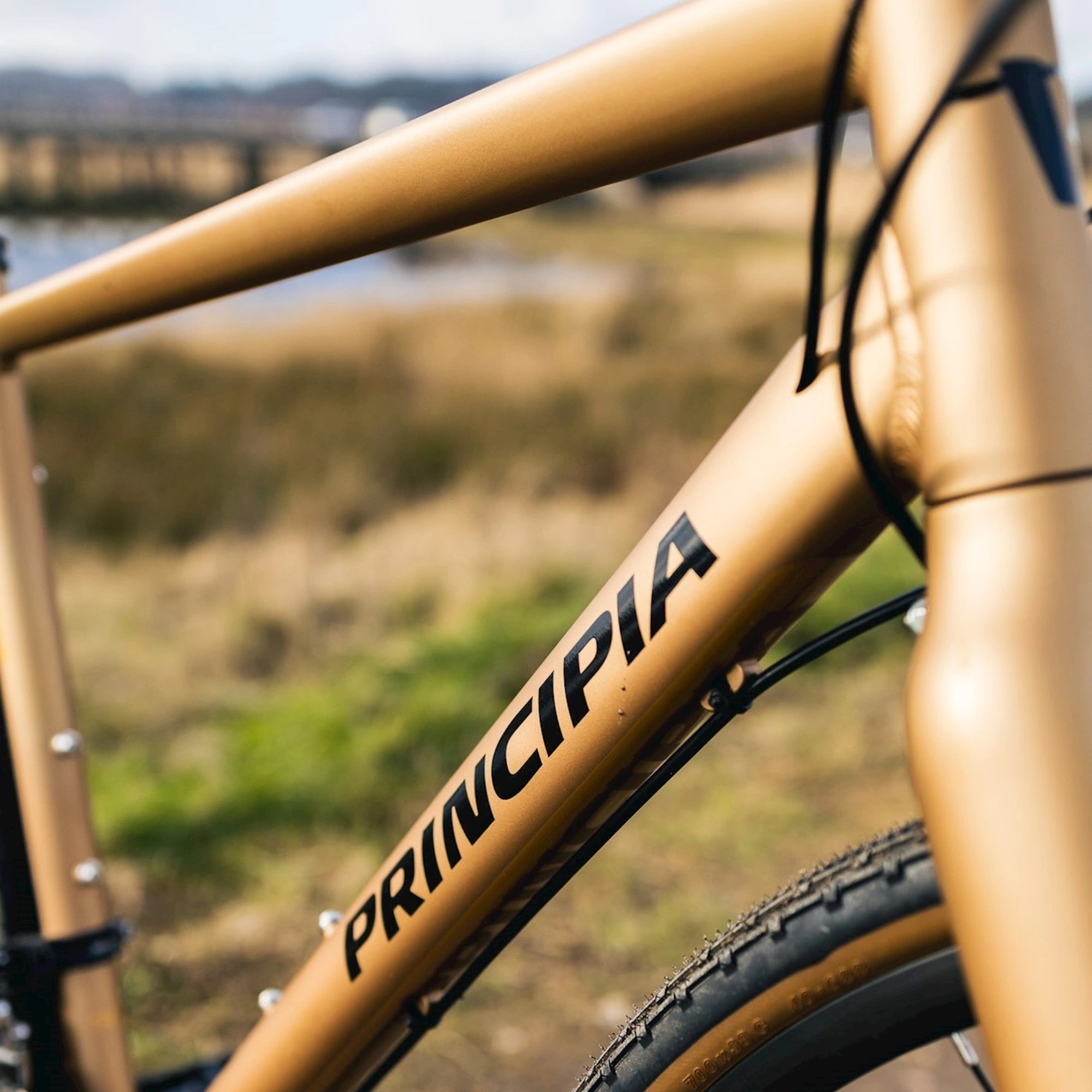 principia gravel bike Principia Gravel H10 - Guld | Gravelbike