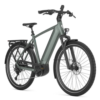 Gazelle Ultimate T11 Herre Performance Line Grøn