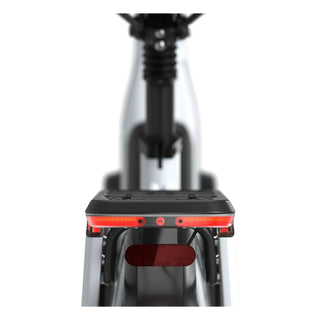 Gazelle Arroyo C5+ Elite Dame