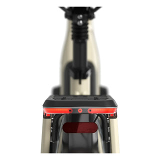 Gazelle Arroyo C5 Elite Dame
