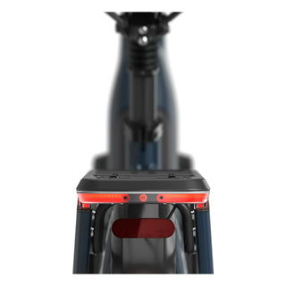 Gazelle Arroyo C8 Elite Herre