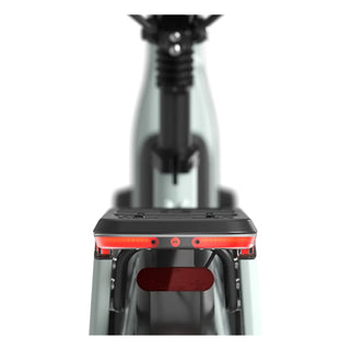 Gazelle Arroyo C8 Elite Dame