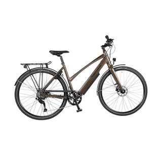 Centurion Zero E Dame Elcykel Grey Brown