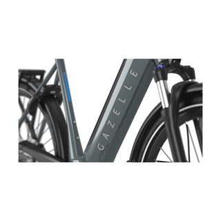 Gazelle Ultimate T10 HMB Dame
