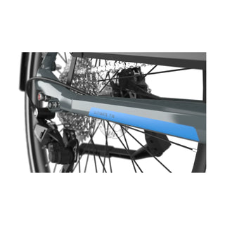 Gazelle Ultimate T10 HMB Dame