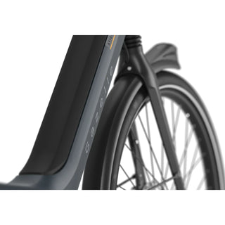 Gazelle Avignon C5 HMB