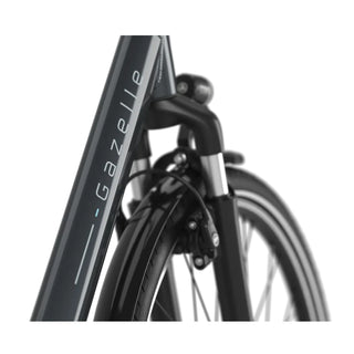 Gazelle Arrroyo C7+ HMB Herre Blank Grå