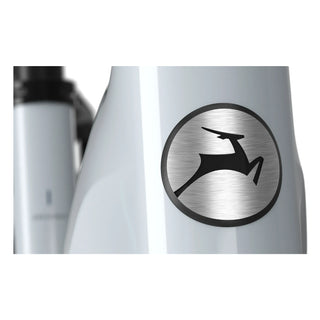 Gazelle Grenoble C5+ Dame