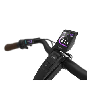 Gazelle Grenoble C8+ HMB Dame