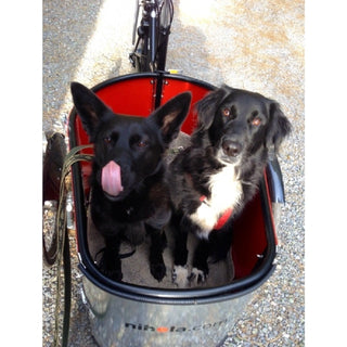 Nihola Ladcykel til at køre med hunde