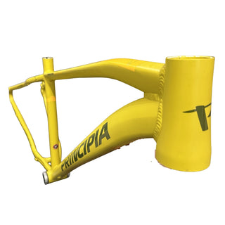 Cykelstel Principia A6.9
