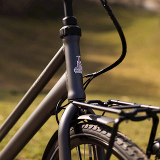 Raleigh Sussex E1 Dame