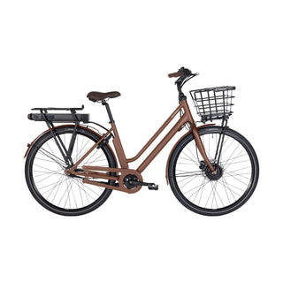Raleigh Sussex E1 Dame