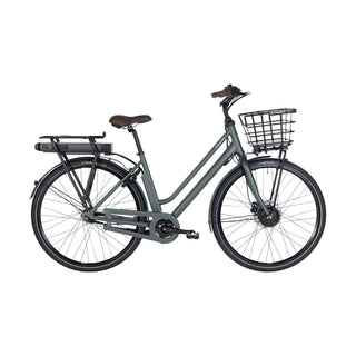 Raleigh Sussex E1 Dame