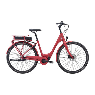 Red Winther Superbe 3 Dame