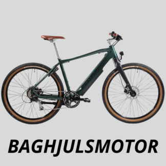 Baghjulsmotor