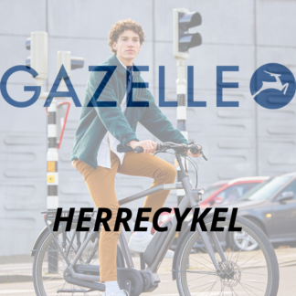 Gazelle Herrecykel